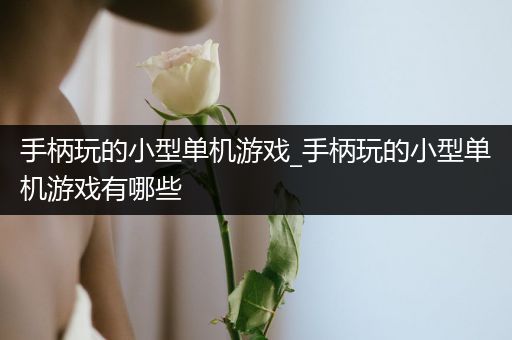 手柄玩的小型单机游戏_手柄玩的小型单机游戏有哪些