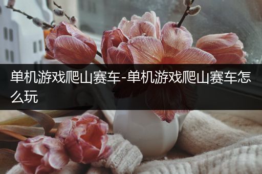 单机游戏爬山赛车-单机游戏爬山赛车怎么玩