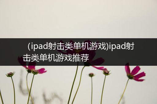 （ipad射击类单机游戏)ipad射击类单机游戏推荐