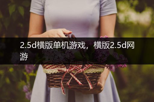 2.5d横版单机游戏，横版2.5d网游