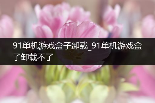 91单机游戏盒子卸载_91单机游戏盒子卸载不了