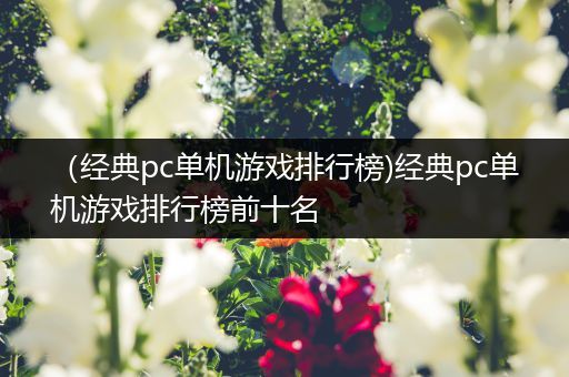 （经典pc单机游戏排行榜)经典pc单机游戏排行榜前十名