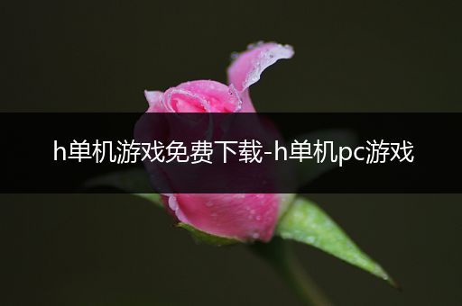 h单机游戏免费下载-h单机pc游戏