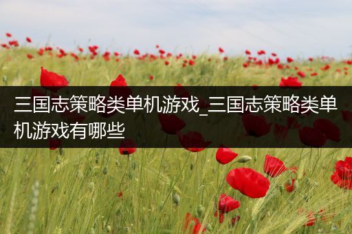 三国志策略类单机游戏_三国志策略类单机游戏有哪些