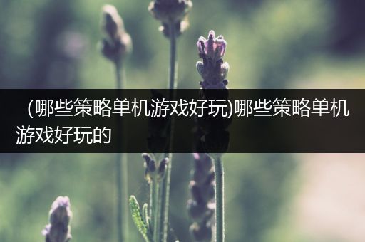 （哪些策略单机游戏好玩)哪些策略单机游戏好玩的