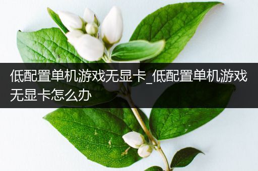 低配置单机游戏无显卡_低配置单机游戏无显卡怎么办