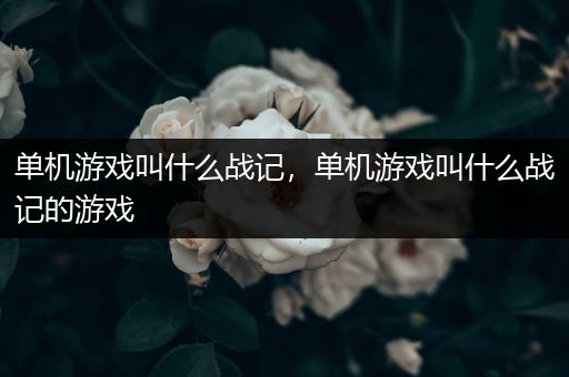 单机游戏叫什么战记，单机游戏叫什么战记的游戏