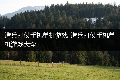 造兵打仗手机单机游戏_造兵打仗手机单机游戏大全