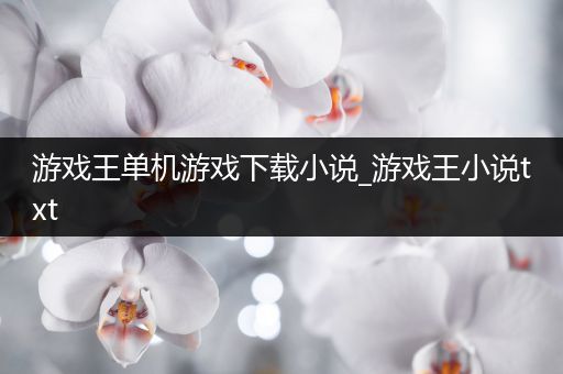 游戏王单机游戏下载小说_游戏王小说txt