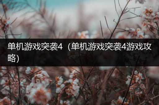 单机游戏突袭4（单机游戏突袭4游戏攻略）