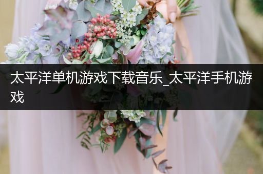 太平洋单机游戏下载音乐_太平洋手机游戏