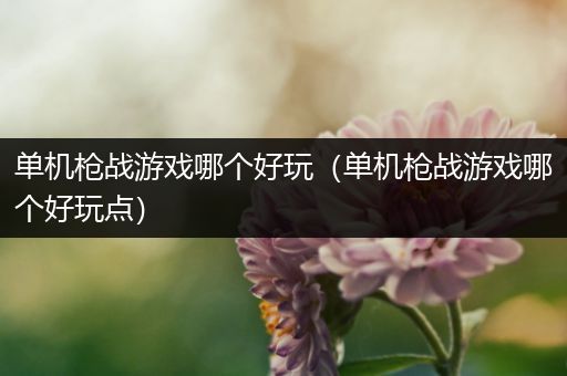单机枪战游戏哪个好玩（单机枪战游戏哪个好玩点）
