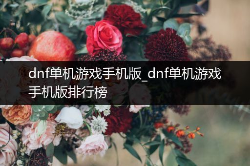 dnf单机游戏手机版_dnf单机游戏手机版排行榜