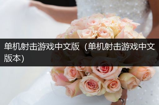 单机射击游戏中文版（单机射击游戏中文版本）