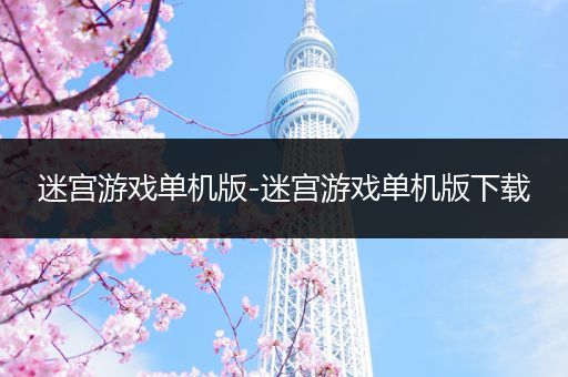 迷宫游戏单机版-迷宫游戏单机版下载
