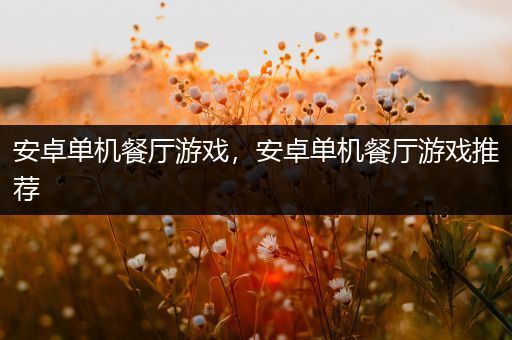 安卓单机餐厅游戏，安卓单机餐厅游戏推荐
