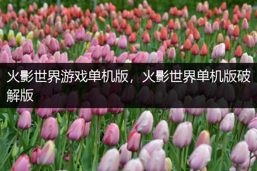 火影世界游戏单机版，火影世界单机版破解版