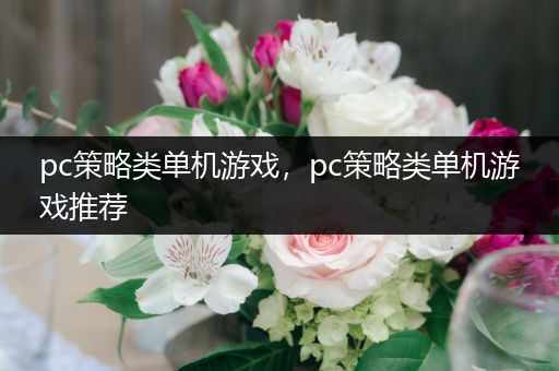 pc策略类单机游戏，pc策略类单机游戏推荐