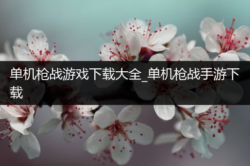 单机枪战游戏下载大全_单机枪战手游下载