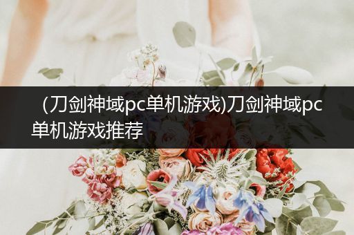 （刀剑神域pc单机游戏)刀剑神域pc单机游戏推荐