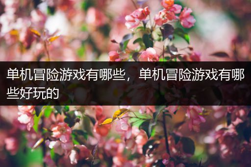 单机冒险游戏有哪些，单机冒险游戏有哪些好玩的