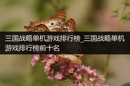 三国战略单机游戏排行榜_三国战略单机游戏排行榜前十名