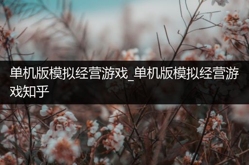 单机版模拟经营游戏_单机版模拟经营游戏知乎