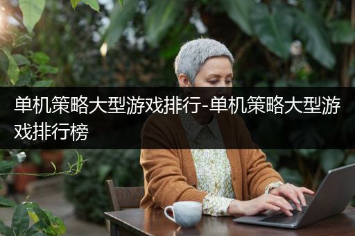 单机策略大型游戏排行-单机策略大型游戏排行榜