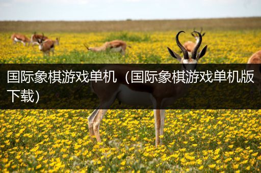 国际象棋游戏单机（国际象棋游戏单机版下载）