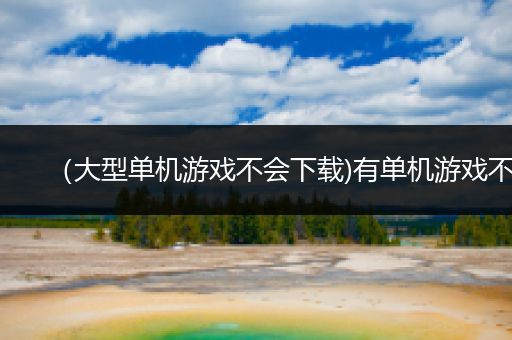 （大型单机游戏不会下载)有单机游戏不