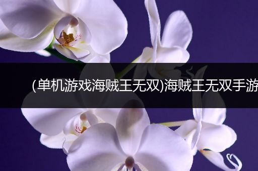 （单机游戏海贼王无双)海贼王无双手游