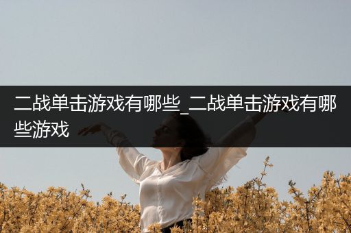二战单击游戏有哪些_二战单击游戏有哪些游戏
