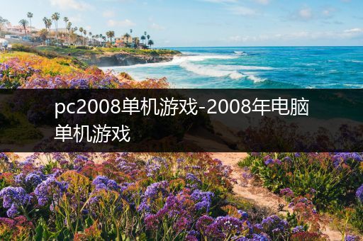 pc2008单机游戏-2008年电脑单机游戏