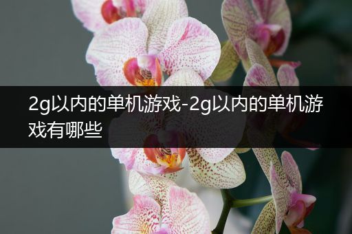 2g以内的单机游戏-2g以内的单机游戏有哪些
