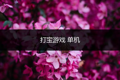 打宝游戏 单机