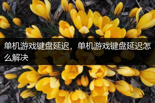 单机游戏键盘延迟，单机游戏键盘延迟怎么解决