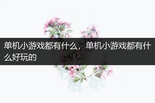 单机小游戏都有什么，单机小游戏都有什么好玩的