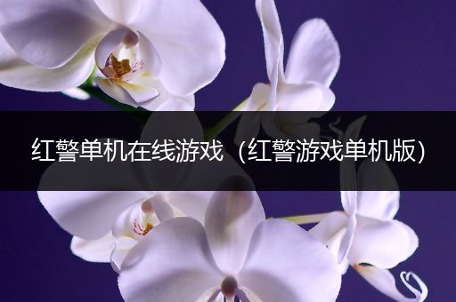 红警单机在线游戏（红警游戏单机版）