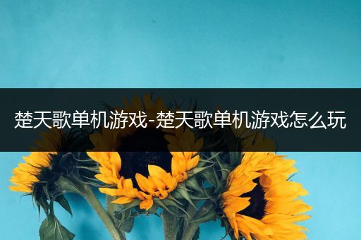 楚天歌单机游戏-楚天歌单机游戏怎么玩