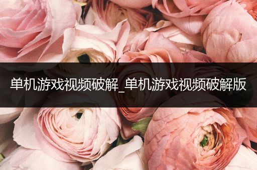 单机游戏视频破解_单机游戏视频破解版