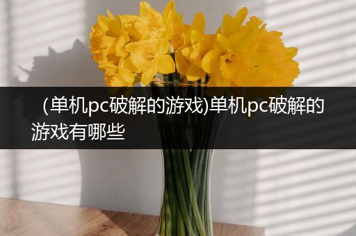 （单机pc破解的游戏)单机pc破解的游戏有哪些