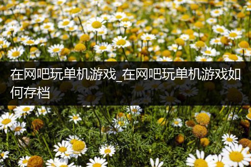 在网吧玩单机游戏_在网吧玩单机游戏如何存档