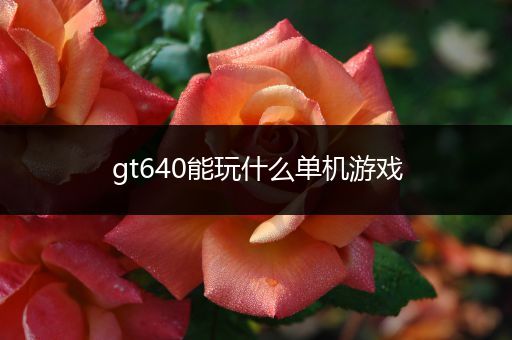 gt640能玩什么单机游戏