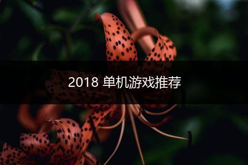 2018 单机游戏推荐