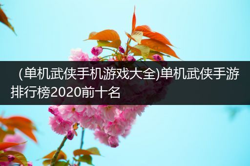 （单机武侠手机游戏大全)单机武侠手游排行榜2020前十名
