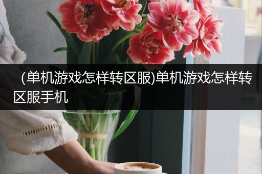 （单机游戏怎样转区服)单机游戏怎样转区服手机