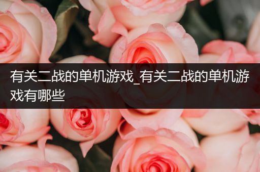 有关二战的单机游戏_有关二战的单机游戏有哪些