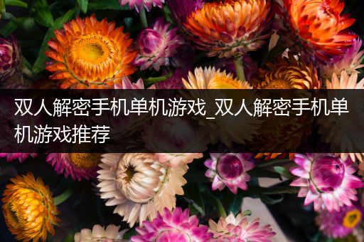 双人解密手机单机游戏_双人解密手机单机游戏推荐