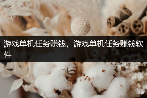 游戏单机任务赚钱，游戏单机任务赚钱软件