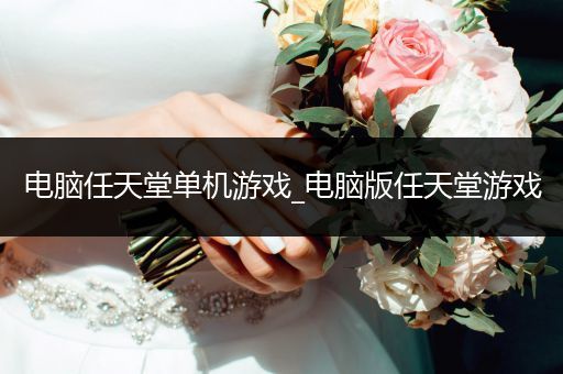 电脑任天堂单机游戏_电脑版任天堂游戏